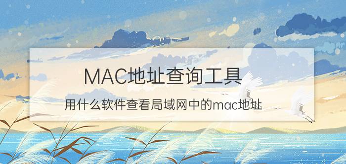 MAC地址查询工具 用什么软件查看局域网中的mac地址？